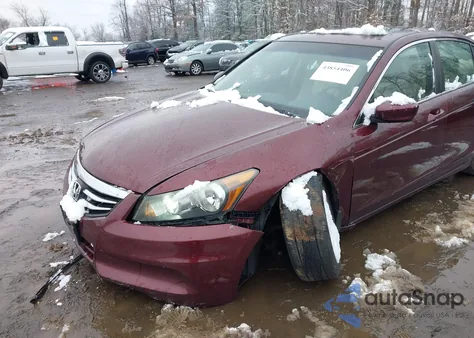 2011 Honda Accord 2.4 Ex-L from USA, damaged, VIN 1HGCP2F85BA102331